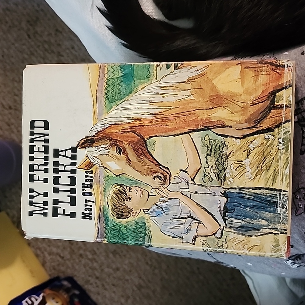 Book, My Friend Flicka, First Edition 1941, Excellent Condition